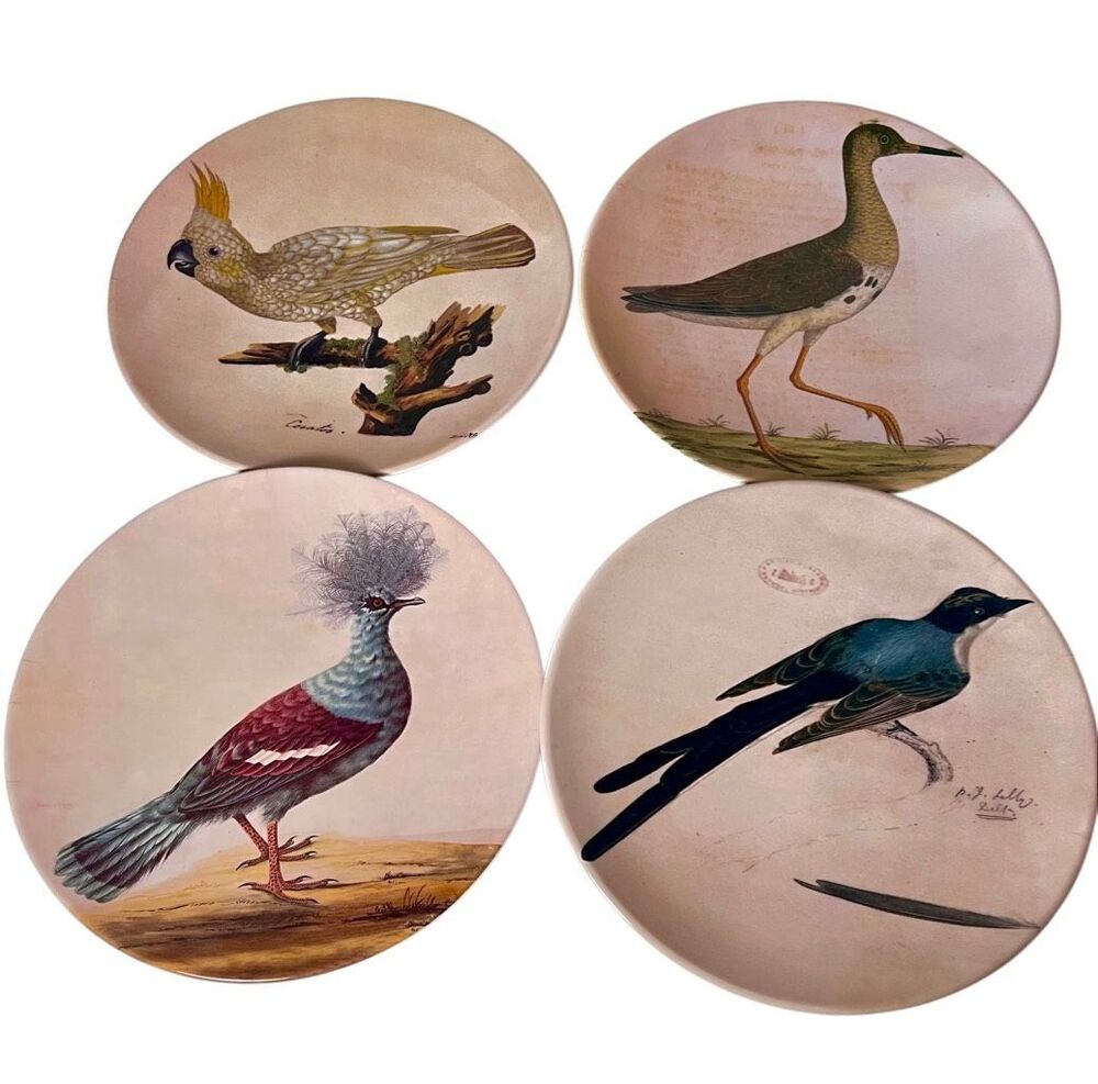 Vintage Z Gallerie Assorted Bird Images Melamine Plates Set Of 4